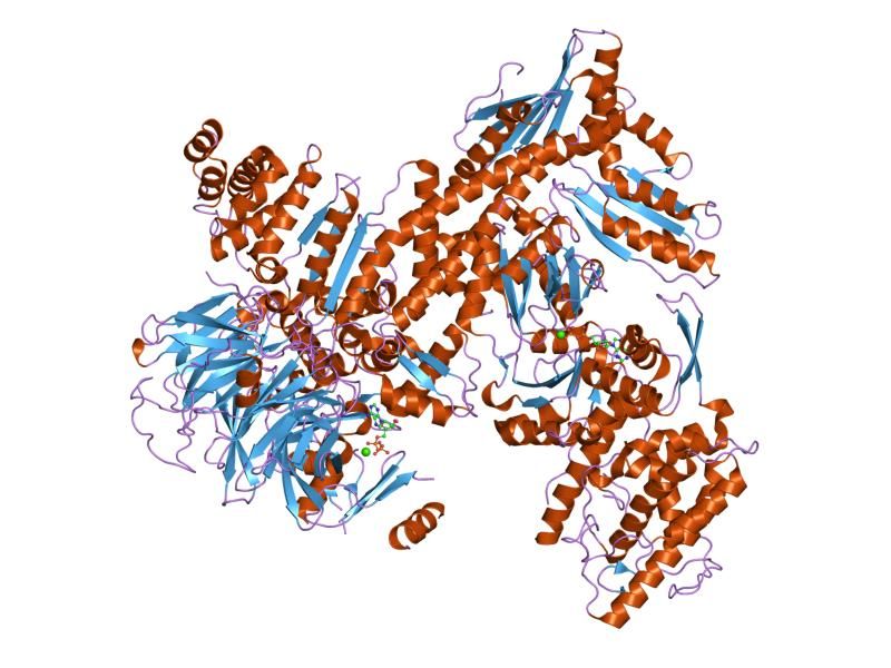 File:PDB 2p9i EBI.jpg