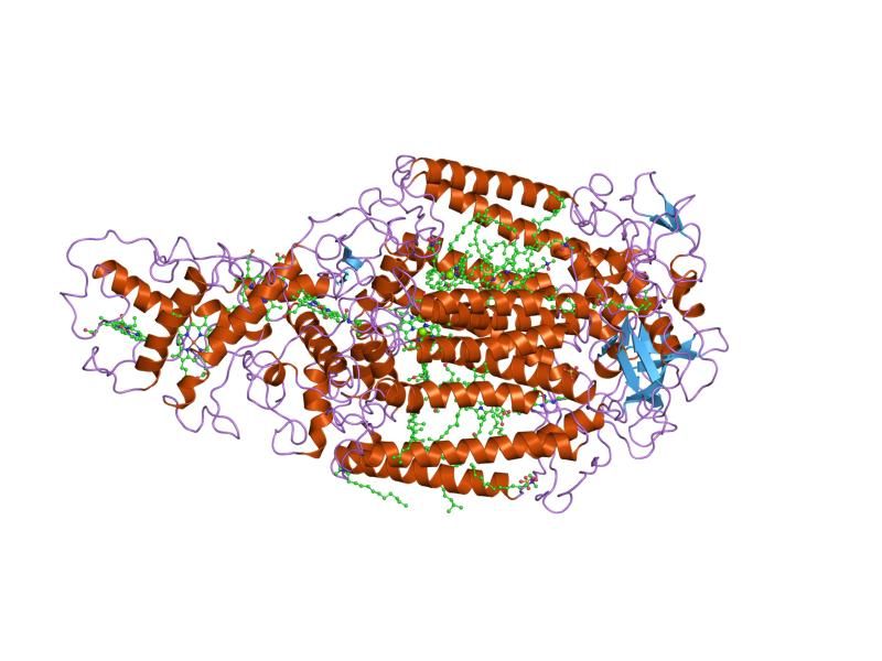 File:PDB 6prc EBI.jpg