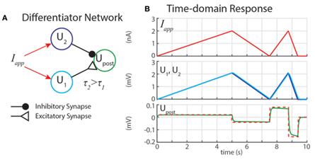 File:SNS Diff Subnetwork.png