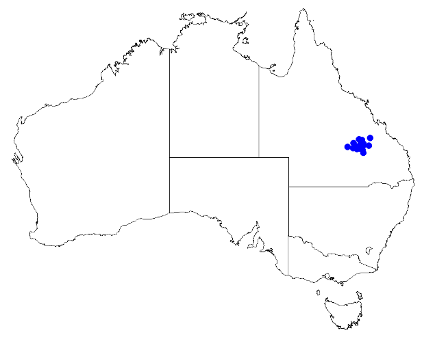 File:Boronia duiganiae DistMap34.png