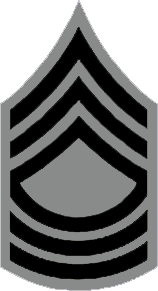 File:NYSP Zone Sergeant Stripes.png