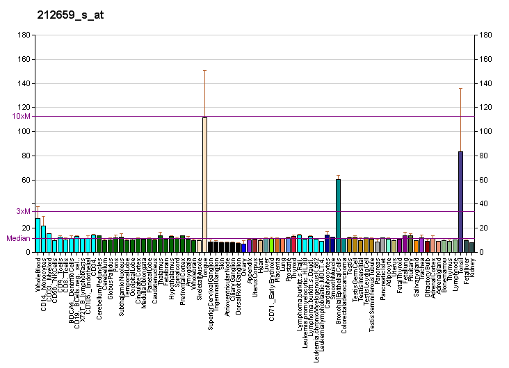 File:PBB GE IL1RN 212659 s at fs.png