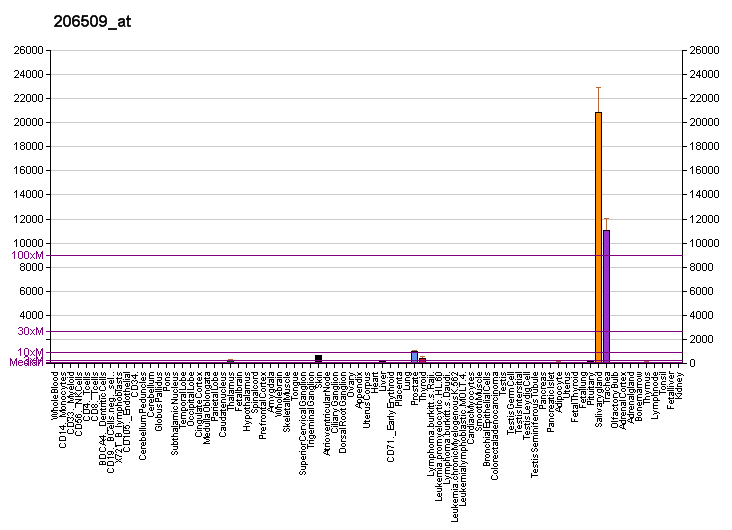 File:PBB GE PIP 206509 at fs.png