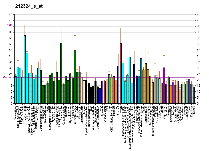 File:PBB GE VPS13D 212324 s at fs.png