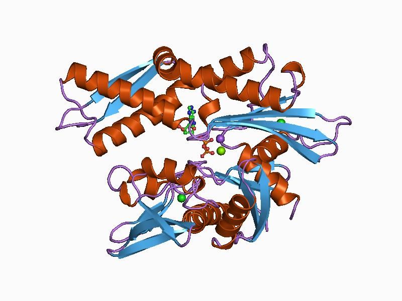 File:PDB 1ba1 EBI.jpg