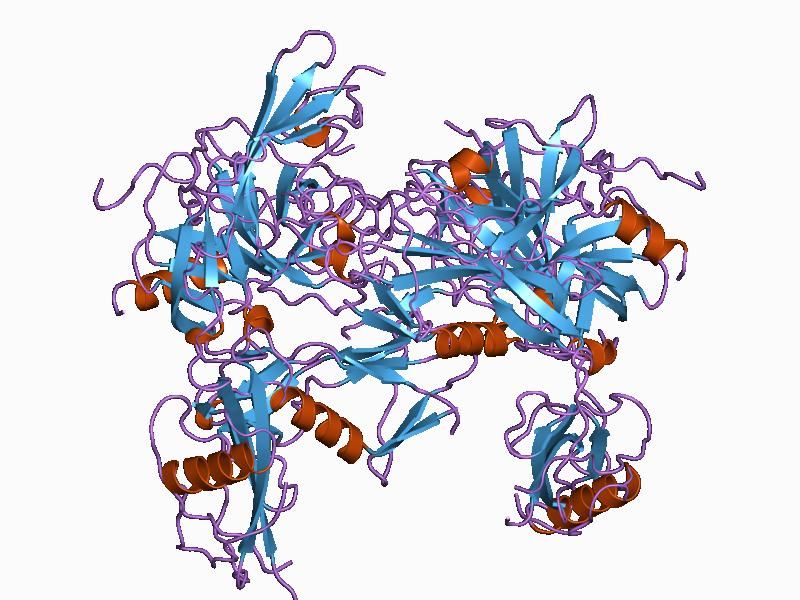 File:PDB 1bml EBI.jpg