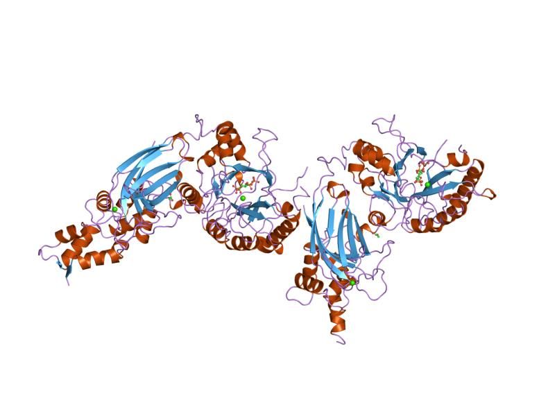 File:PDB 1djx EBI.jpg