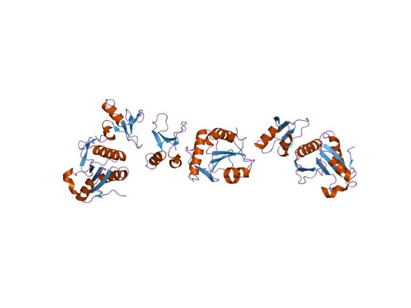 File:PDB 1syx EBI.jpg