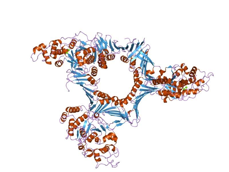 File:PDB 1ul1 EBI.jpg