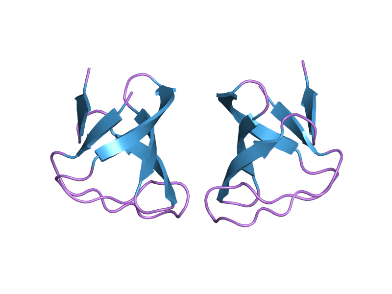 File:PDB 1w6x EBI.png