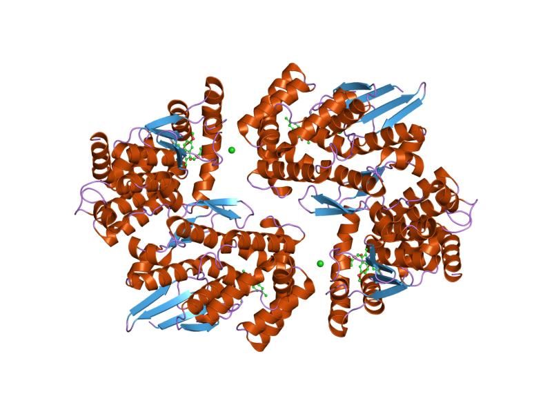 File:PDB 1z9h EBI.jpg