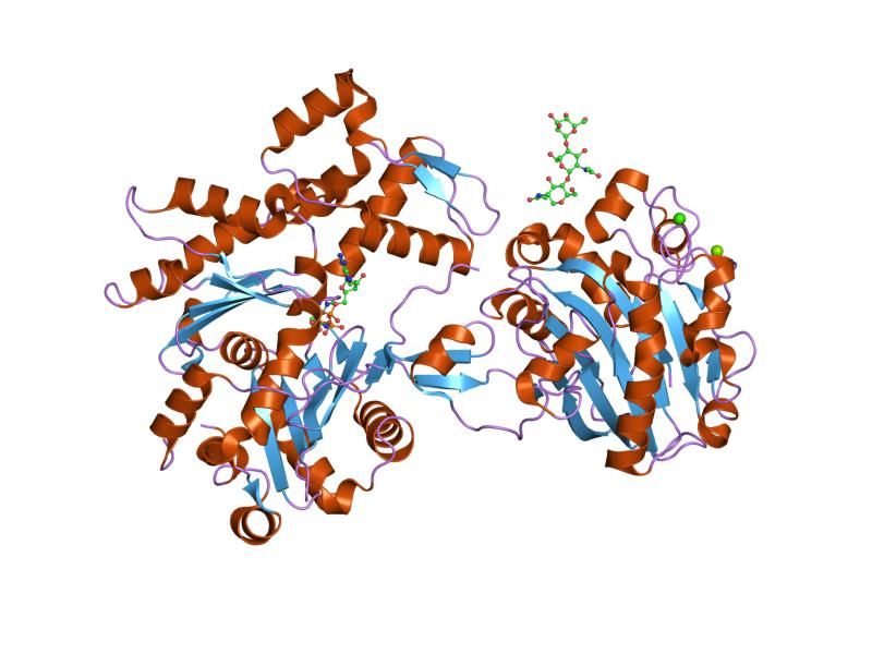 File:PDB 2a41 EBI.jpg