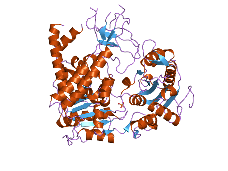 File:PDB 2gk7 EBI.png