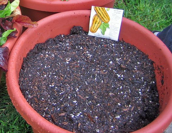 File:Potting soil.jpg