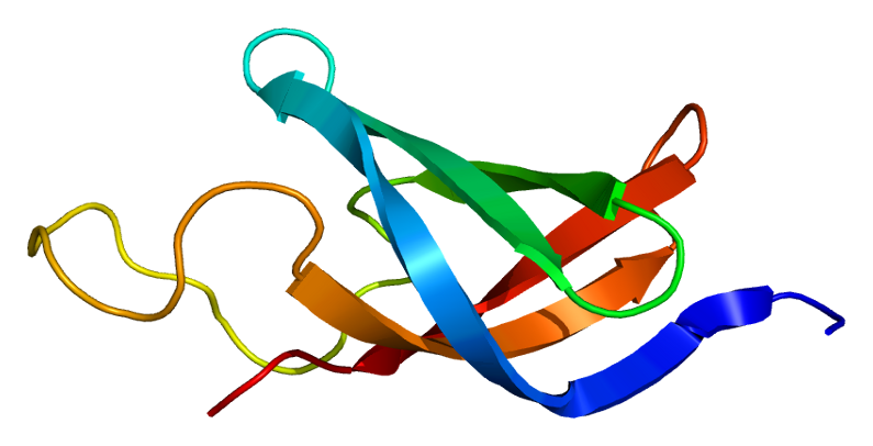 File:Protein YBX1 PDB 1h95.png