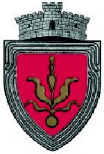 File:ROU SV Mitocu Dragomirnei CoA.png