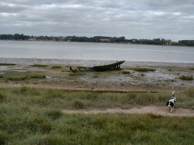 File:River Orwell - geograph.org.uk - 1099906.jpg