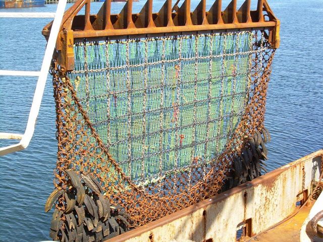 File:Scallop dredge 2.jpg