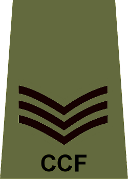 File:Adult NCO CCF Sergeant Rank Slide.png