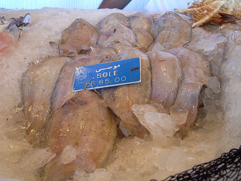 File:EgFoodSole.jpg