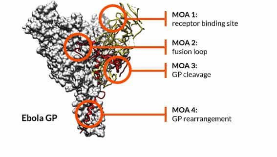 File:Epitope-mapping-MOA.jpg