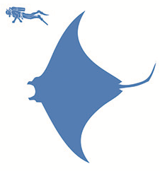 File:Giant ocean manta size.png