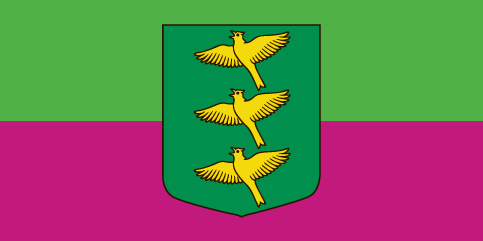 File:LVA Ropažu pagasts flag.png