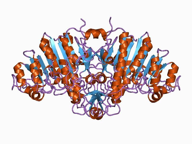 File:PDB 1alk EBI.jpg