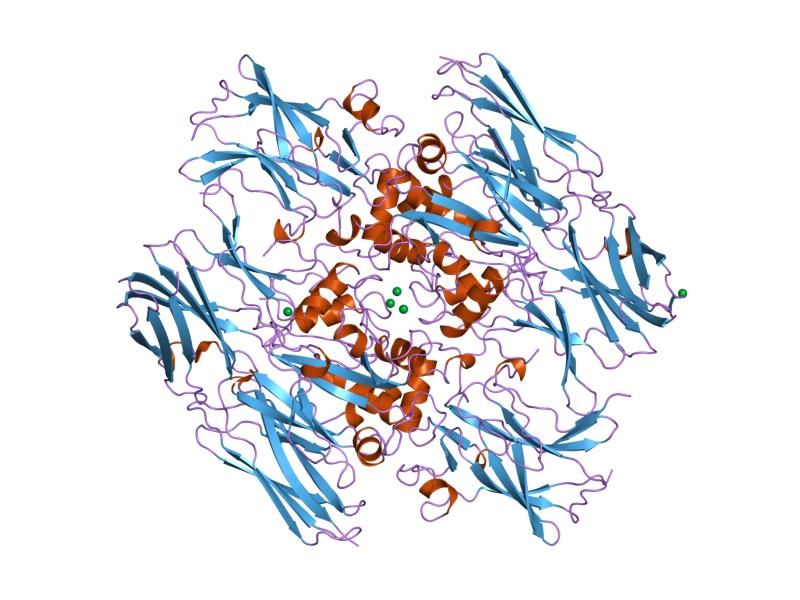 File:PDB 1ggy EBI.jpg