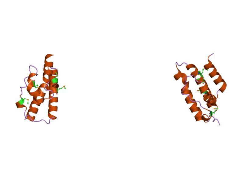 File:PDB 1nz6 EBI.jpg