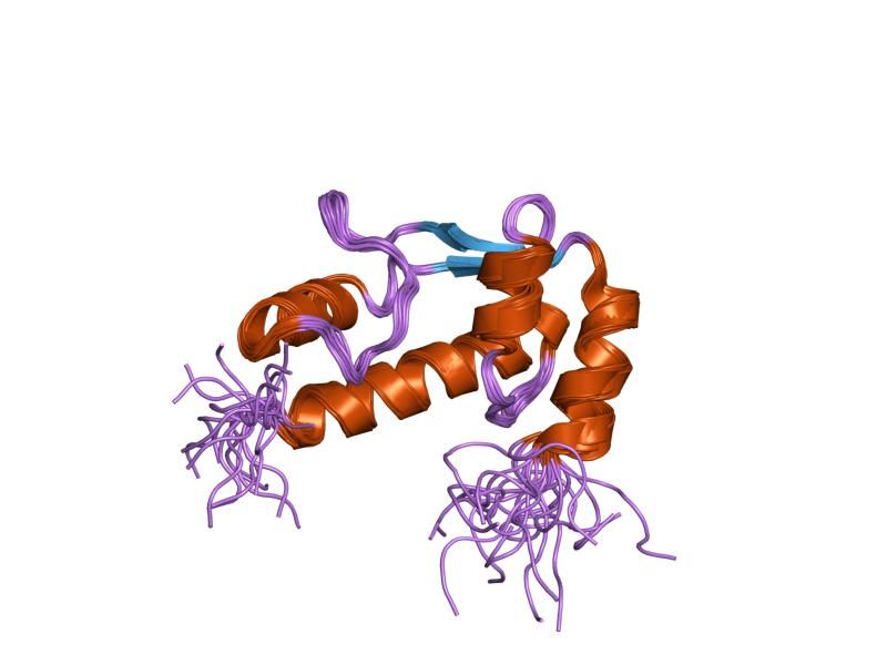 File:PDB 1q60 EBI.jpg