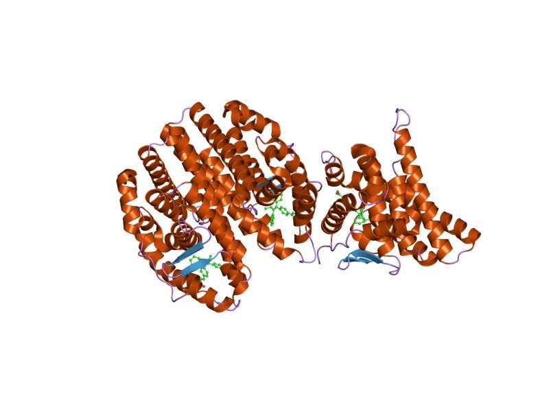 File:PDB 1r5k EBI.jpg