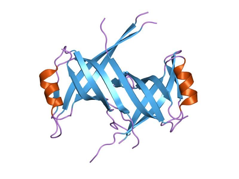 File:PDB 1s3o EBI.jpg