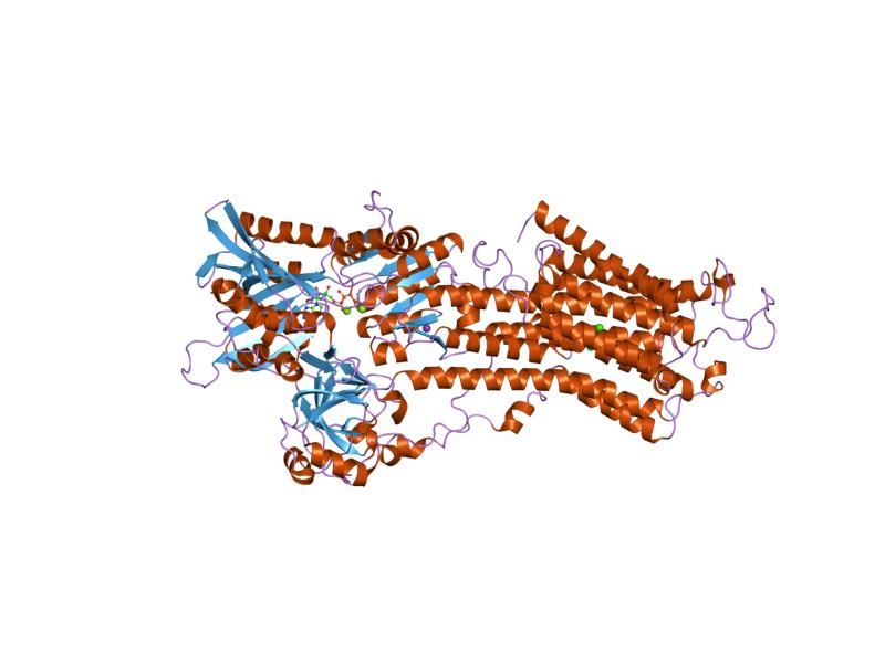 File:PDB 1t5t EBI.jpg