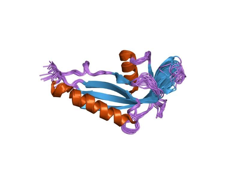 File:PDB 2ai6 EBI.jpg