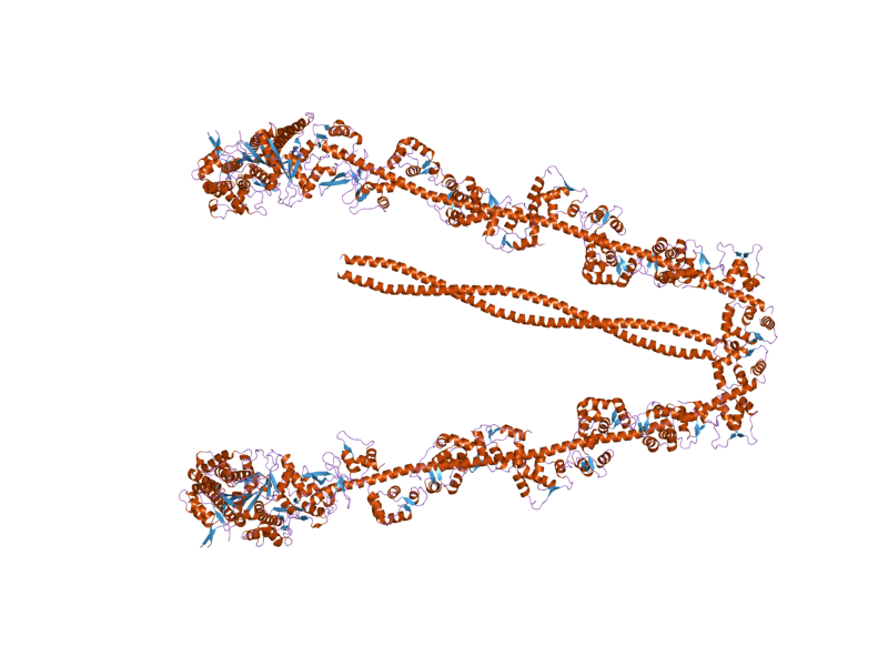 File:PDB 2dfs EBI.png