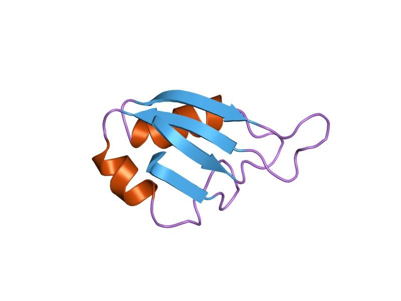 File:PDB 2mss EBI.jpg