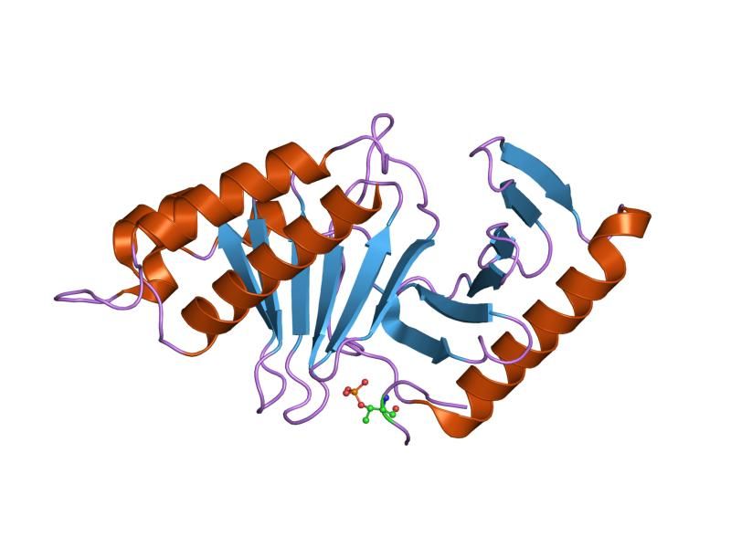 File:PDB 2ojs EBI.jpg