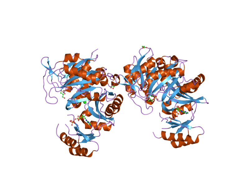 File:PDB 2qk4 EBI.png