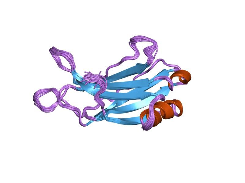 File:PDB 3rpb EBI.jpg