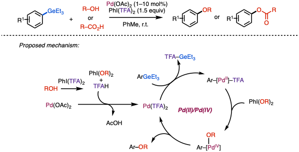 Pd-catalyzed C–O coupling of organogermanes