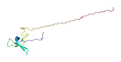 File:Protein MYST1 PDB 1wgs.png