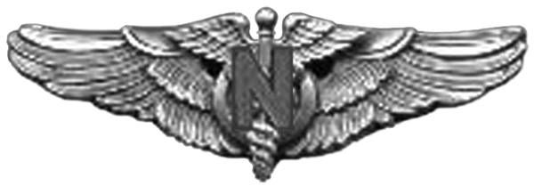 File:USAAF Flight Nurse Wings.png