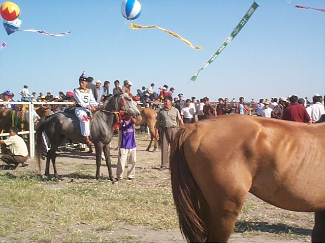 File:Zhurihe Ranch at Naadam 2.jpg