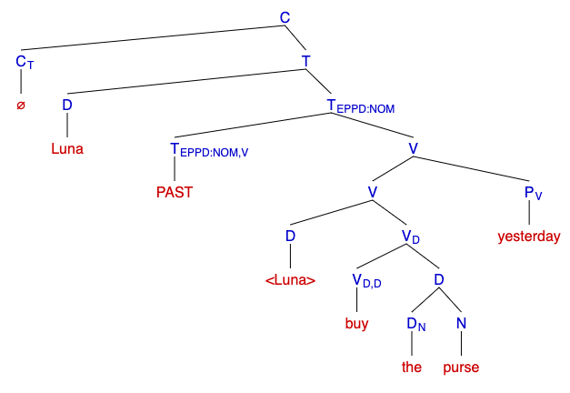 File:Adjunction in bare phrase structure tree.png