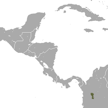 File:Colombian Small-eared Shrew area.png