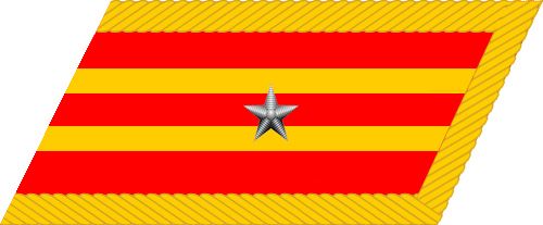 File:Major collar insignia (PRC).jpg