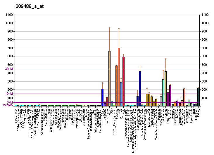 File:PBB GE RBPMS 209488 s at fs.png