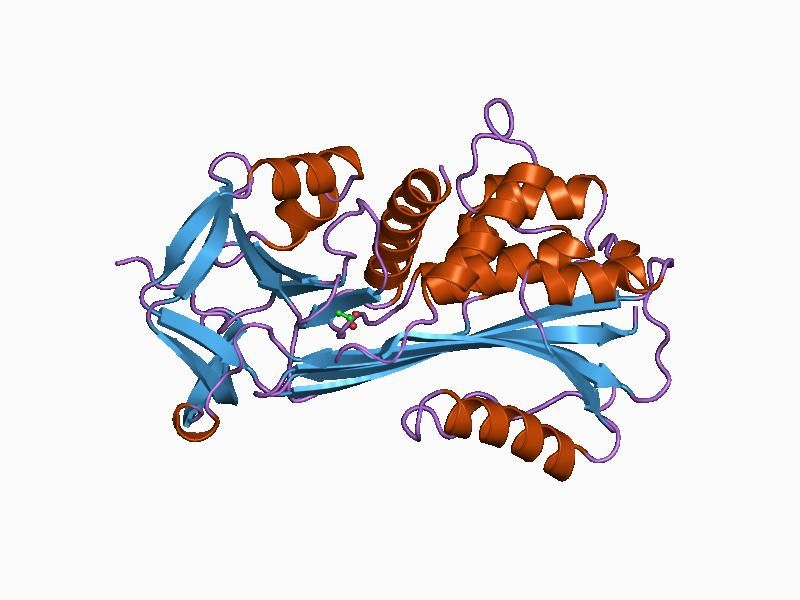 File:PDB 1as4 EBI.jpg