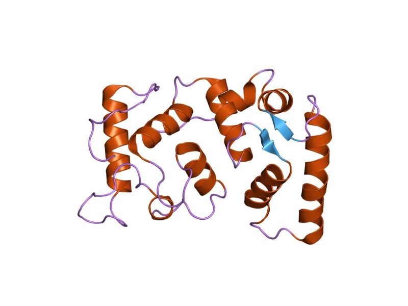 File:PDB 1dgu EBI.jpg